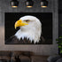 Tablou canvas Animale Looking