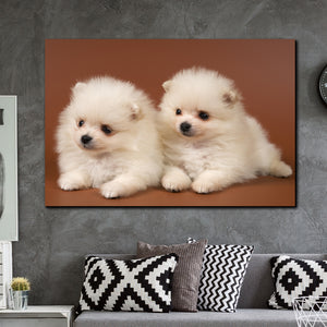 Tablou canvas Animale Puppy